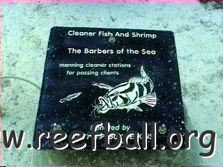 cleanerfishsign