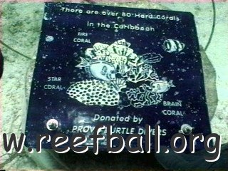 coraltypesign 