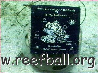 coraltypesign2.bmp 