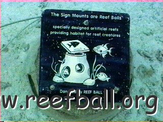 signmountsarereefballs.bmp