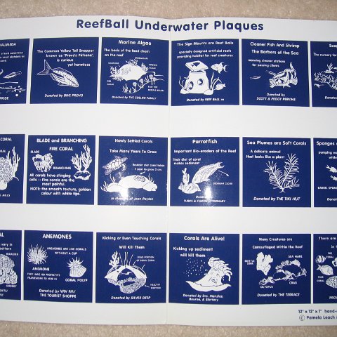 Providenciales Sea Systems Reef Ball Trail Project Providenciales Sea Systems Reef Ball Trail Project