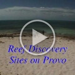 provorbindeo