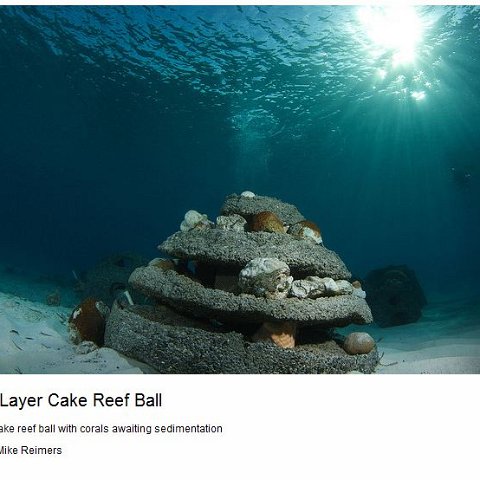 Turks and Caicos Reef Ball Projects and Photos Turks and Caicos Reef Ball Projects and Photos