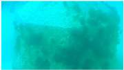 Non-Licensed Reefs Reef Ball