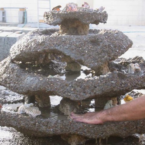 al yasat bay ball layer cake_2006 al yasat bay ball layer cake_2006
