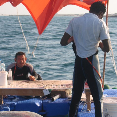 coraltable 006 coraltable 006