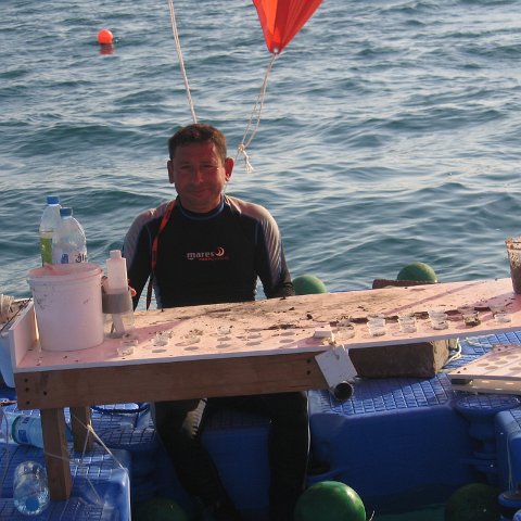 coraltable 009 coraltable 009
