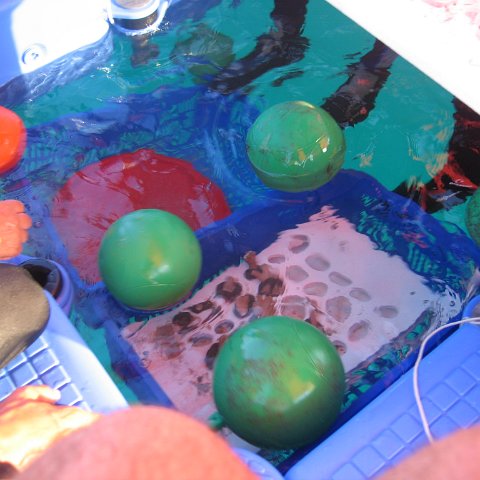 coraltable 021 coraltable 021
