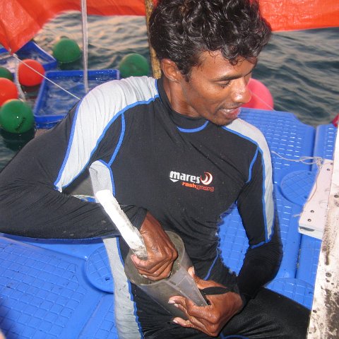 coraltable 045 coraltable 045