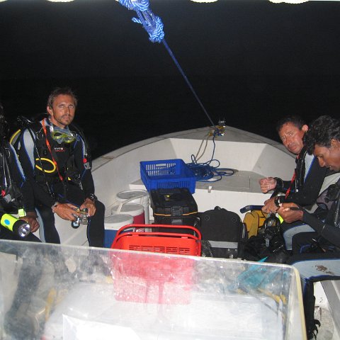 coraltable 058 coraltable 058