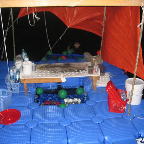 coraltable 065 coraltable 065