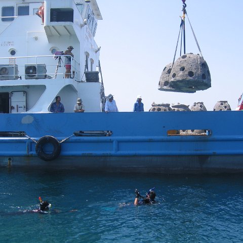 uae 078 uae 078