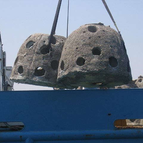 uae 079 uae 079