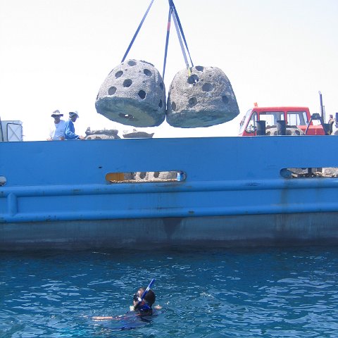 uae 086 uae 086