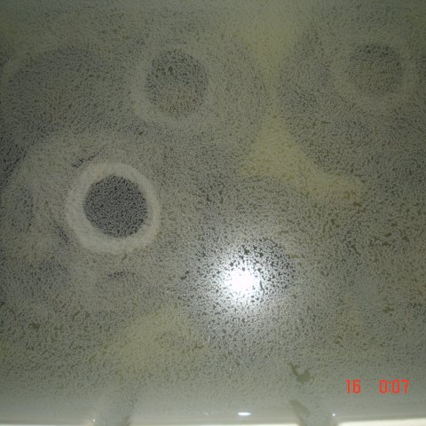 wernermischlerpics 632 wernermischlerpics 632