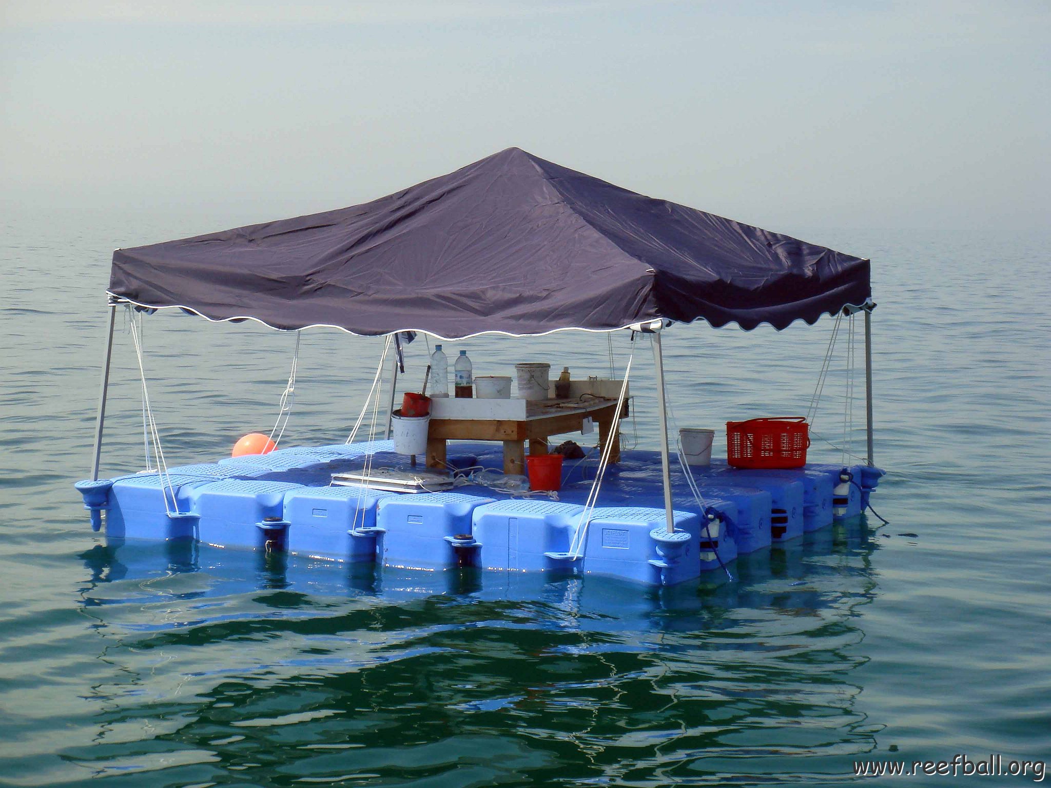 Floating Coral Table