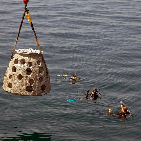 Divers giving signs for the Crane Drviver for positioning the Reefballs