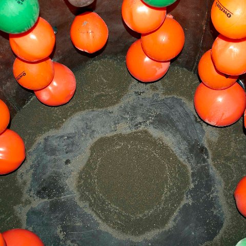 Goliath with Theder Balls and Sand at the Bottom
