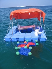coralpropagation