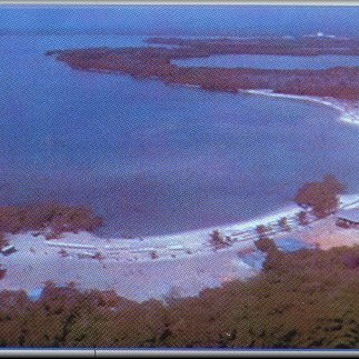 image004 image004
