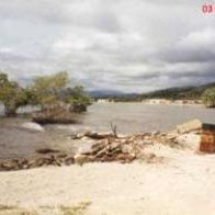 image016 image016