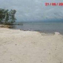 image017 image017