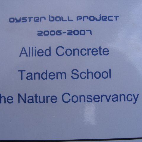 alliedconcreteoysterrehabilitation 010