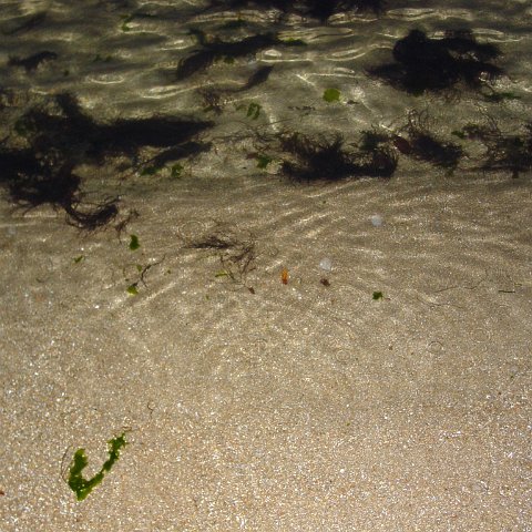 dsc02129 dsc02129