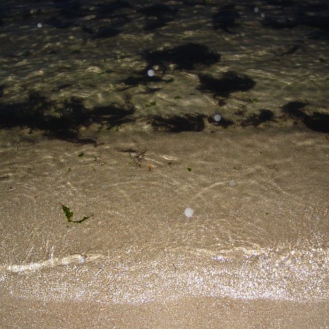 dsc02130 dsc02130