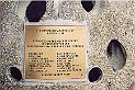 virginiabeachhammerheadclubbelizememorialproject