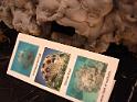 barboursville