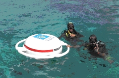 Snorkeling Resting Stations