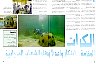 PDONewsNo2slash98OMANpage1.jpg