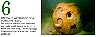 PDONewsNo2slash98englishcontents.jpg