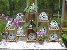 Reef Ball Models used As Orchid Pots