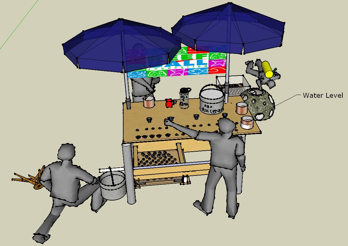 Coral Propagation Table