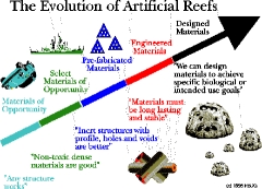 Evolution of Artificial Reefs