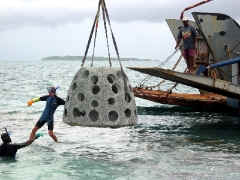 Reef Ball Being Deployed