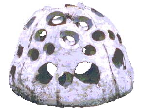 Picture Of Reef Ball