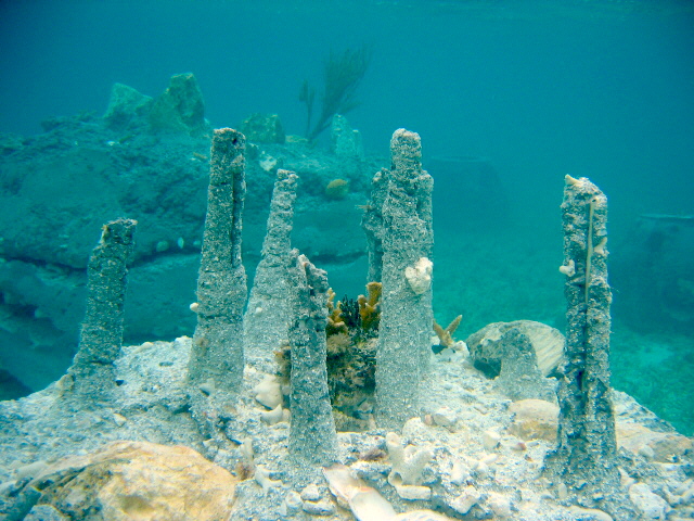 Reef View