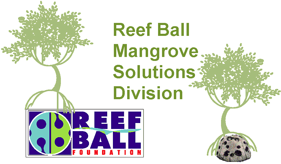 División Roja De las Soluciones De la 
Recuperación Del Mangle De la Reef Ball