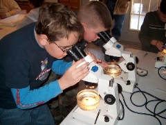 Cabritos que estudian Reef Balls con 
el microscopio