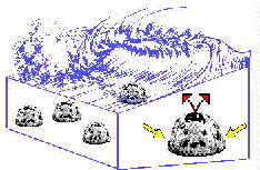 Graphical Representation Of Water Flow Through
Reef Ball