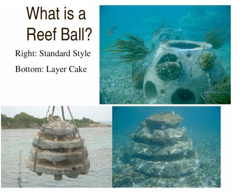 Reef Ball Mold System Training Manual