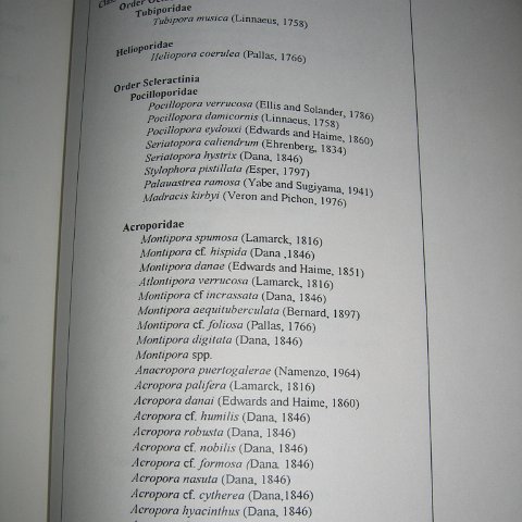managementplan