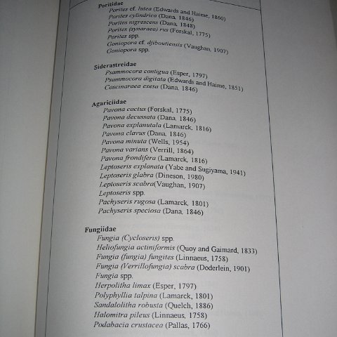 sabahborneo_044