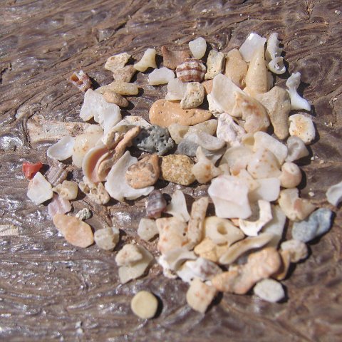 sandsieveanalysis_016 sandsieveanalysis_016