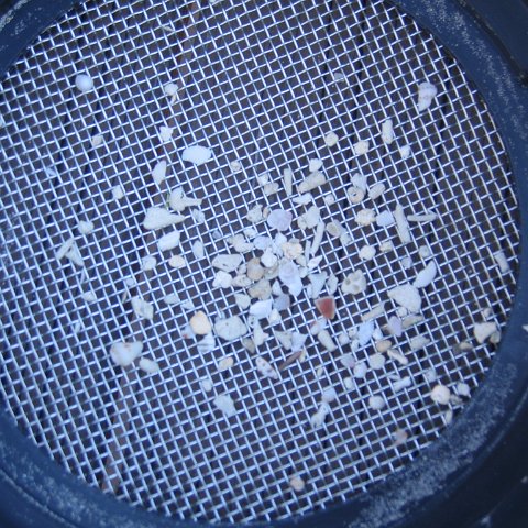sandsieveanalysis_025 sandsieveanalysis_025