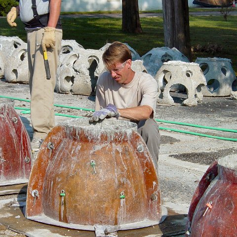 dsc00017 dsc00017