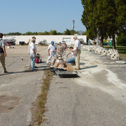 dsc00036 dsc00036
